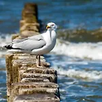 Strandvilla Marina Wangerooge