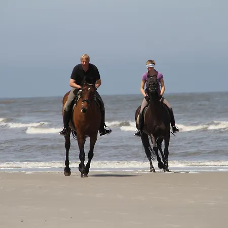 Apartamento Strandvilla Marina