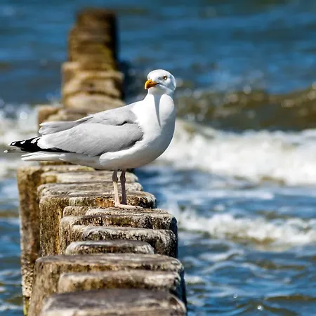Strandvilla Marina * Wangerooge